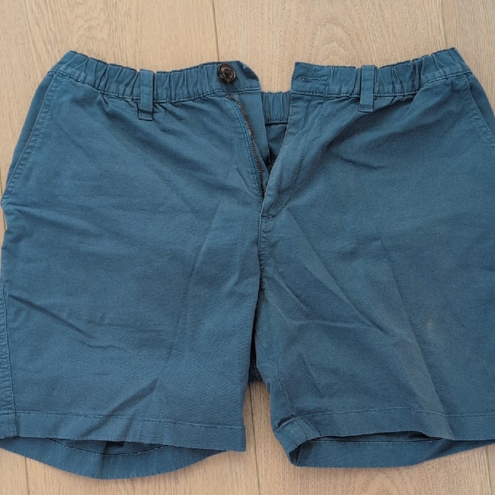 Chubbies Teal Flat Front Shorts